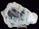 4.5cms GEM CHRYSOCOLLA INSIDE SELENITE CRYSTAL LILY MINE 2000 DISCOVERY PERU TB140