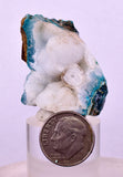 4.1cms DRUZY CHRYSOCOLLA QUARTZ CRYSTAL LILY MINE PERU 2000 YEAR DB330