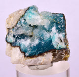 2.9cms DRUZY CHRYSOCOLLA QUARTZ CRYSTAL LILY MINE PERU 2000 YEAR DB331