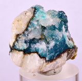 2.9cms DRUZY CHRYSOCOLLA QUARTZ CRYSTAL LILY MINE PERU 2000 YEAR DB331