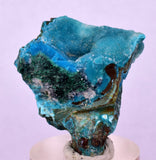 2.9cms DRUZY CHRYSOCOLLA QUARTZ CRYSTAL LILY MINE PERU 2000 YEAR DB333