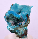 2.9cms DRUZY CHRYSOCOLLA QUARTZ CRYSTAL LILY MINE PERU 2000 YEAR DB333
