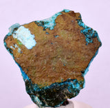 2.9cms DRUZY CHRYSOCOLLA QUARTZ CRYSTAL LILY MINE PERU 2000 YEAR DB333