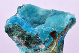 2.9cms DRUZY CHRYSOCOLLA QUARTZ CRYSTAL LILY MINE PERU 2000 YEAR DB333