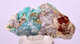 5cms DRUZY CHRYSOCOLLA QUARTZ CRYSTAL LILY MINE PERU 2000 YEAR DB334