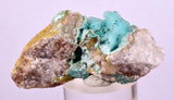 5cms DRUZY CHRYSOCOLLA QUARTZ CRYSTAL LILY MINE PERU 2000 YEAR DB334
