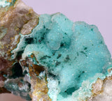 5cms DRUZY CHRYSOCOLLA QUARTZ CRYSTAL LILY MINE PERU 2000 YEAR DB334