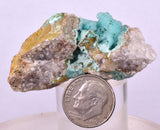 5cms DRUZY CHRYSOCOLLA QUARTZ CRYSTAL LILY MINE PERU 2000 YEAR DB334
