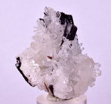 4.4cms RED HUBNERITE QUARTZ CRYSTALS MINERAL SPECIMEN COLLECTOR PERU MB210