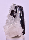 4.4cms RED HUBNERITE QUARTZ CRYSTALS MINERAL SPECIMEN COLLECTOR PERU MB210
