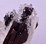 4.4cms RED HUBNERITE QUARTZ CRYSTALS MINERAL SPECIMEN COLLECTOR PERU MB210