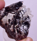 7.1cms RED HUBNERITE QUARTZ CRYSTALS MINERAL SPECIMEN COLLECTOR PERU MB211