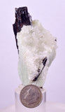 6.4cms RED HUBNERITE QUARTZ CRYSTALS MINERAL SPECIMEN COLLECTOR PERU MB212