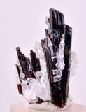 2.9cms RED HUBNERITE QUARTZ CRYSTALS MINERAL SPECIMEN COLLECTOR PERU MB216