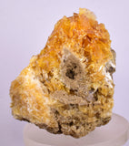 11.5cms GOLDEN SELENITE HALITE CRYSTAL PERU GOLDEN  TB142