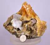 11.5cms GOLDEN SELENITE HALITE CRYSTAL PERU GOLDEN  TB142