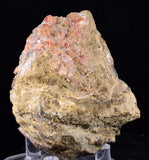 6.9cms GEM RHODOCHROSITE CRYSTALS PERU UCHUCCHACUA MINE MINERAL SPECIMEN RB690