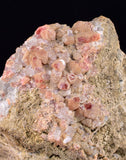 6.9cms GEM RHODOCHROSITE CRYSTALS PERU UCHUCCHACUA MINE MINERAL SPECIMEN RB690