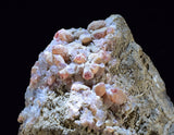 6.9cms GEM RHODOCHROSITE CRYSTALS PERU UCHUCCHACUA MINE MINERAL SPECIMEN RB690
