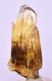 5cms GOLDEN SELENITE TWIN CRYSTAL PERU MINERAL SPECIMEN TB144