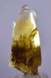5cms GOLDEN SELENITE TWIN CRYSTAL PERU MINERAL SPECIMEN TB144