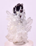 3.3cms RED HUBNERITE QUARTZ CRYSTALS MINERAL SPECIMEN COLLECTOR PERU MB221