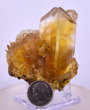 5.9cms GOLDEN SELENITE TWIN CRYSTAL PERU MINERAL SPECIMEN TB145