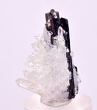 3.3cms RED HUBNERITE QUARTZ CRYSTALS MINERAL SPECIMEN COLLECTOR PERU MB221