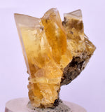 3.2cms GOLDEN SELENITE TWIN CRYSTAL PERU MINERAL SPECIMEN TB146