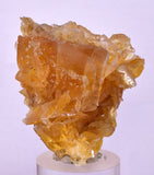 4.1cms GOLDEN SELENITE TWIN CRYSTAL PERU MINERAL SPECIMEN TB147