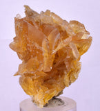 4.1cms GOLDEN SELENITE TWIN CRYSTAL PERU MINERAL SPECIMEN TB147