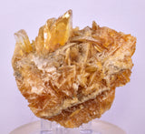 9.5cms GOLDEN SELENITE TWIN CRYSTAL PERU MINERAL SPECIMEN TB148