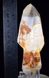 15.4cms SCEPTER QUARTZ SHINY NATURAL CRYSTAL MINERAL QB163