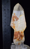 15.4cms SCEPTER QUARTZ SHINY NATURAL CRYSTAL MINERAL QB163