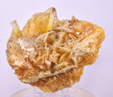 9.5cms GOLDEN SELENITE TWIN CRYSTAL PERU MINERAL SPECIMEN TB148