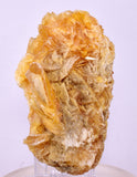 9.5cms GOLDEN SELENITE TWIN CRYSTAL PERU MINERAL SPECIMEN TB148