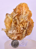 9.5cms GOLDEN SELENITE TWIN CRYSTAL PERU MINERAL SPECIMEN TB148