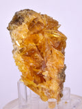 8.5cms GOLDEN SELENITE CRYSTAL PERU MINERAL SPECIMEN TB150