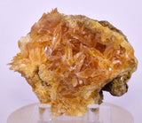7.5cms GOLDEN SELENITE CRYSTAL PERU MINERAL SPECIMEN TB151