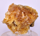 7.5cms GOLDEN SELENITE CRYSTAL PERU MINERAL SPECIMEN TB151