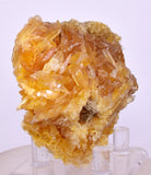 7.5cms GOLDEN SELENITE CRYSTAL PERU MINERAL SPECIMEN TB151