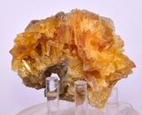 7.5cms GOLDEN SELENITE CRYSTAL PERU MINERAL SPECIMEN TB151