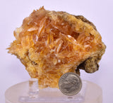 7.5cms GOLDEN SELENITE CRYSTAL PERU MINERAL SPECIMEN TB151