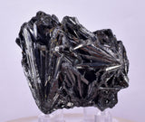 4.7cms STIBNITE CRYSTAL PERU MINERAL SPECIMEN COLLECTOR MB187