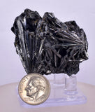 4.7cms STIBNITE CRYSTAL PERU MINERAL SPECIMEN COLLECTOR MB187
