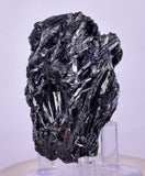 5.7cms STIBNITE CRYSTAL PERU MINERAL SPECIMEN COLLECTOR MB189