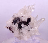 6.8cms RED HUBNERITE QUARTZ CRYSTALS MINERAL SPECIMEN COLLECTOR PERU MB224