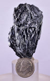 5.3cms STIBNITE CRYSTAL PERU MINERAL SPECIMEN COLLECTOR MB190