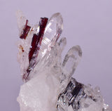 6.8cms RED HUBNERITE QUARTZ CRYSTALS MINERAL SPECIMEN COLLECTOR PERU MB224