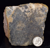 645Grams SYLVANITE NATIVE YELLOW GOLD COLORADO USA MINERAL LB214